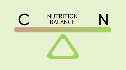 A graphic showing Carbon and Nitrogen in balance with each other on a see-saw.