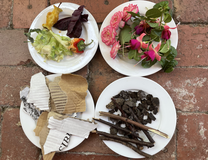Four plates with examples of various form of organic wastes