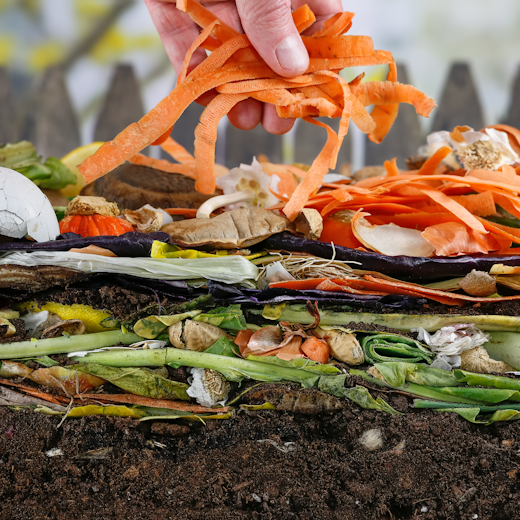 Hand adding vegetable scraps to layers of compost sitting on top of soil.