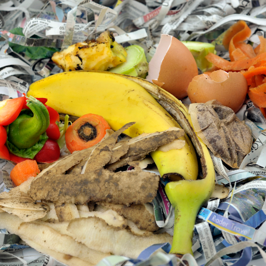 Fruit and vegetable cuttings layered on top of shredded paper waste.