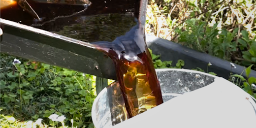 Pouring compost juice into a watering can.