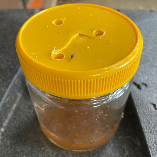 A clear jar with a screw lid, with vinegar inside and holes punched into the lid.