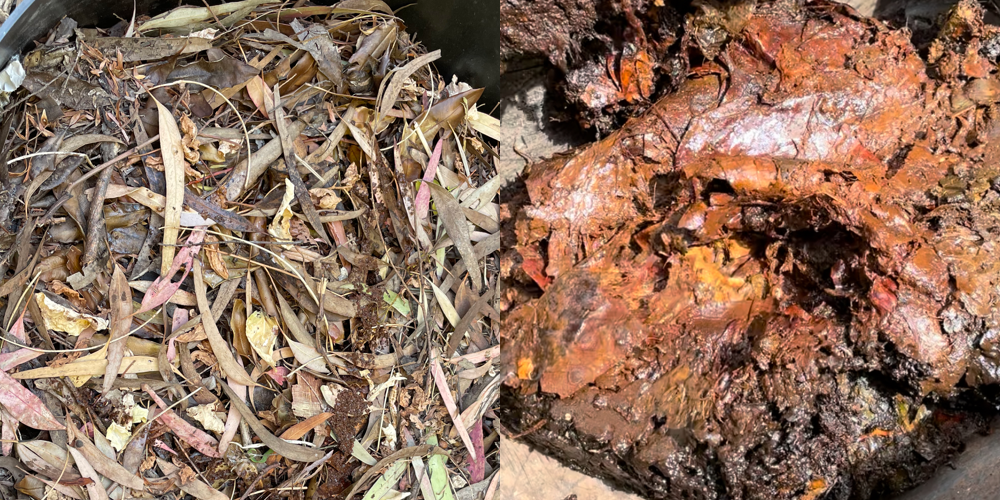 Comparison of compost that's too dry and too wet.