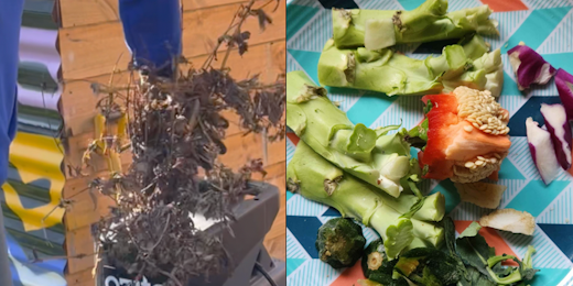 Two types of compostable waste - garden waste and kitchen scraps