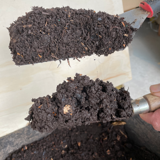 Side by side comparison between immature and mature compost.