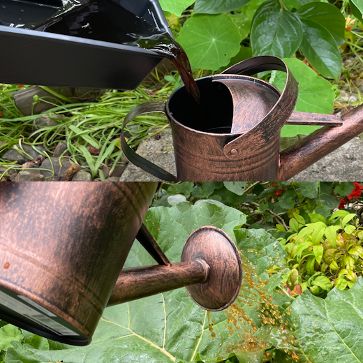 Compost juice being poured into a watering can and then being used to enrich plants.