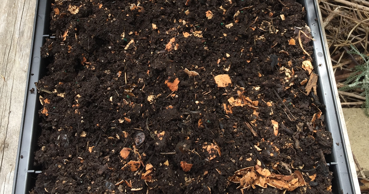 Humus Compost Is Good for Your Soil and the Environment | Bioverter
